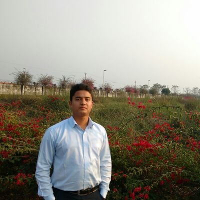 Casujan's profile picture. King in the North-Free Folk