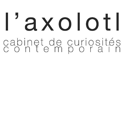 CABINET DE CURIOSITÉS CONTEMPORAIN - Toulon centre ville Follow Me, From A to Z