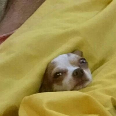 UxaMarimo's profile picture. Una ciudadana más HARTA de la impunidad y malos gobiernos. Abogada.