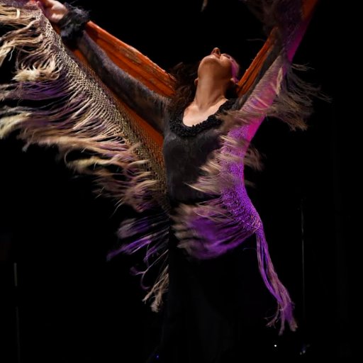 Flamenco Company promoting authentic flamenco to inspire audiences worldwide. Producers now UK-based, importing Spanish flamenco artists of highest calibre.