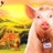 Gallant_Pig's avatar