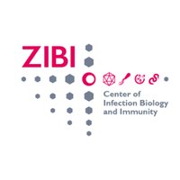 ZIBI Berlin (@zibiberlin) 's Twitter Profile Photo