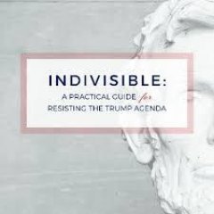 We are INDIVISIBLEArkansas.  We are dedicate to resisting the take over of the US government by Trump and the GOP.