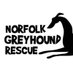 Norfolk Greyhound (@norfgreyhound) Twitter profile photo