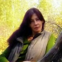 elnik347's profile picture. 