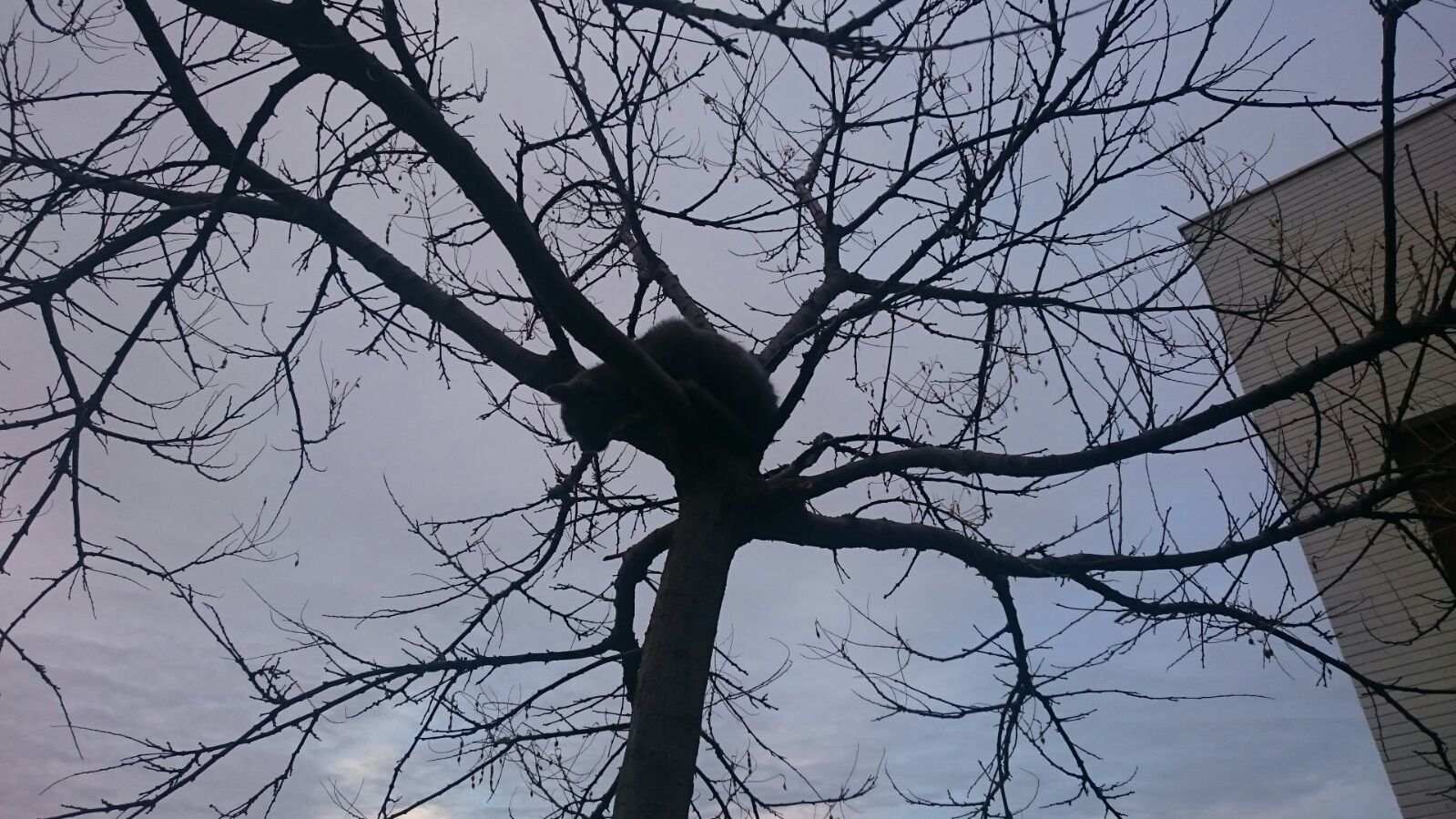 rramosaon's profile picture. 