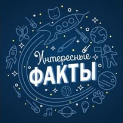 mybit24_ru's profile picture. 