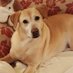Tessette (@capetessa2) Twitter profile photo Tessette (@capetessa2) Twitter profile photo