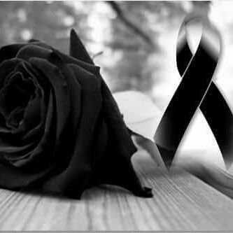 El_profeta_momo's profile picture. 