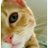 ちゃとらんのアイコン