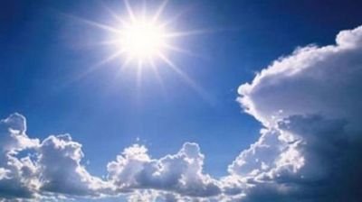 sedadimeto's profile picture. 