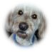 JB's Humble Opinion (@jeanluc1429b) Twitter profile photo JB's Humble Opinion (@jeanluc1429b) Twitter profile photo