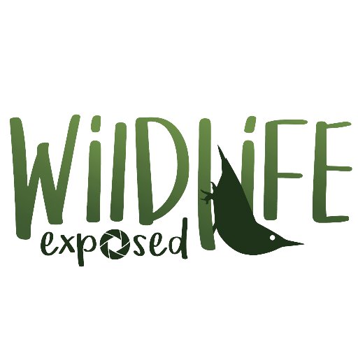 Wildlife Youtube channel with photography tips, how tos, top 10's and guest contributors.