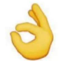 The Egg Bitch Chall (@eggbchallenge) 's Twitter Profile