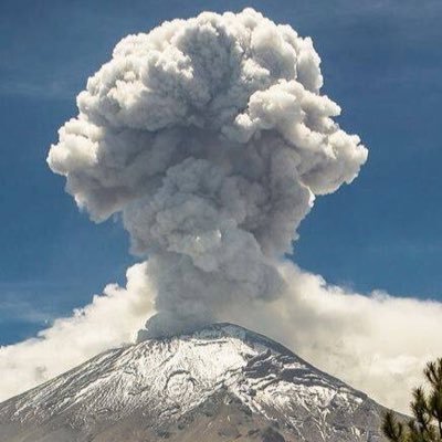 fma_fma's profile picture. Abogado