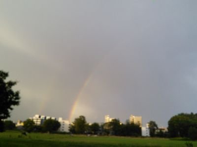 askr9's profile picture. 