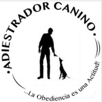 Adiestrador Canino (@guillermok9) 's Twitter Profile