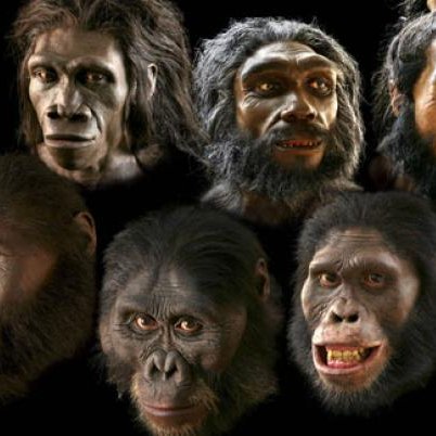 A podcast based on the possibility of Relic Hominids lurking in the dark corners of planet earth.