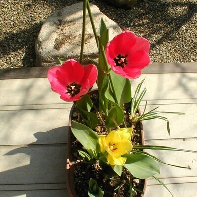 オリーブ Olive0704 Twitter