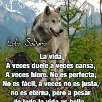 Adonai Palacios (@adonai_palacios) 's Twitter Profile