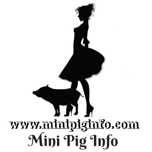 Promoting responsible pet pig ownership through education and advocacy. Visit our website for more information regarding the care of pet pigs.