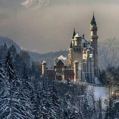 chuchover1942's profile picture. Si. Tienes fuerza de voluntad lograrás lo que quieras