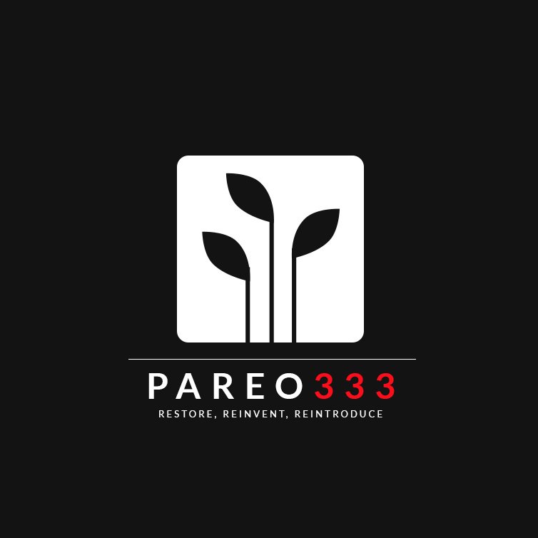Pareo333