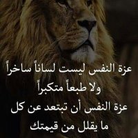 ابن اليمن (@almaadni) Twitter profile photo