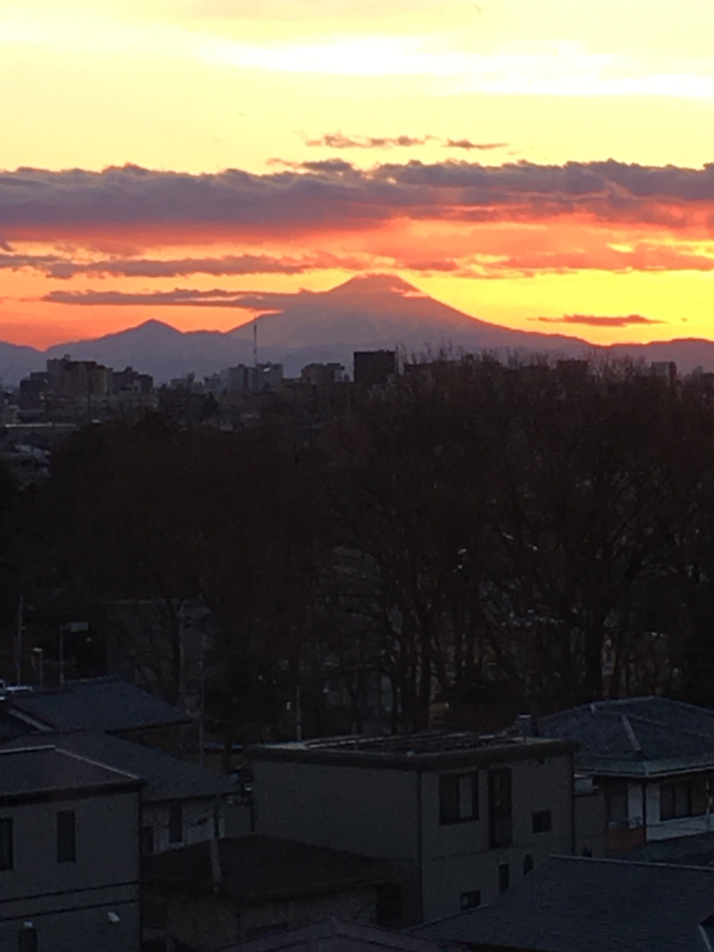 Metakeny's profile picture. HR/HMとラーメン好きの親父です。
東川口麺屋桐龍がお気に入りです。