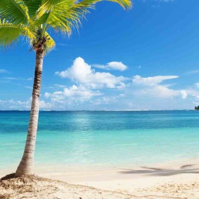 john_jbern012's profile picture. 