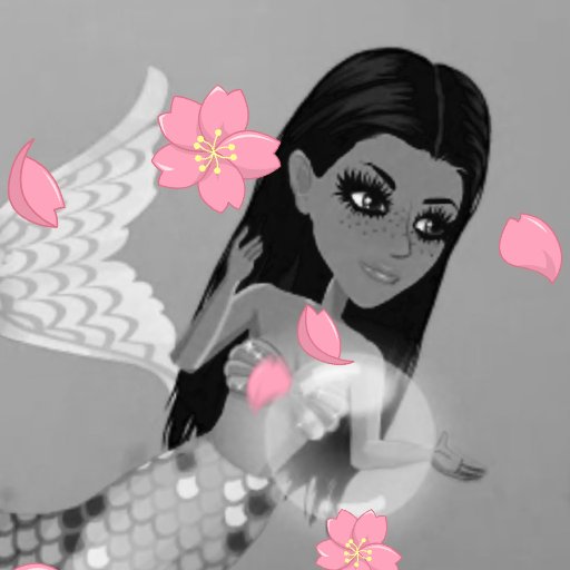 Follow my new twitter for a follow back OkxyTea
