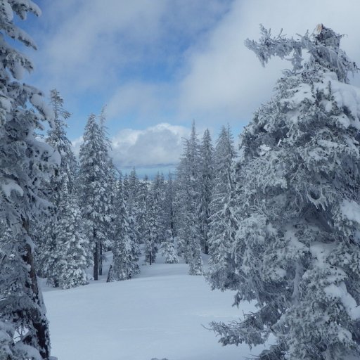 Eastoregonmath's profile picture. Affiliate of Oregon Council of Teachers of Mathematics serving teachers and administrators in Eastern Oregon.