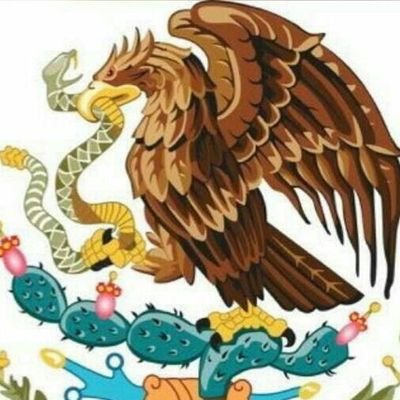 Neoleones de nacimiento, Tamaulipeco por adopción, lector, Ex ciclista, Amiguero, apoyando la familia.