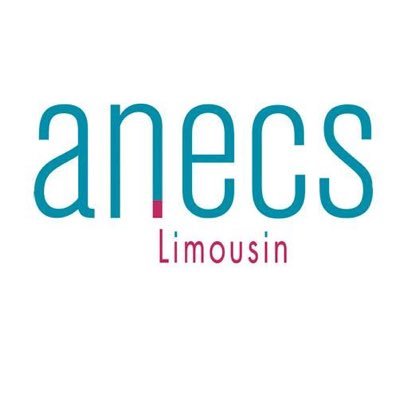 Association des Experts-Comptables et Commissaires aux comptes Stagiaires du Limousin