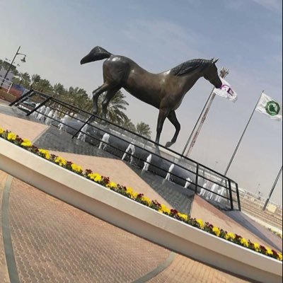 Saheraleeel's profile picture. أحب الشعر ولست ب شاعر و أعشق الخيل لأن فيه من الشموخ والعزة إلي يحتويني عن كل البشر والوفاء