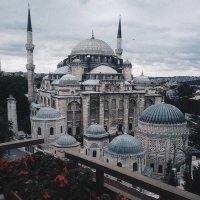 Samah (@sama74__) 's Twitter Profile