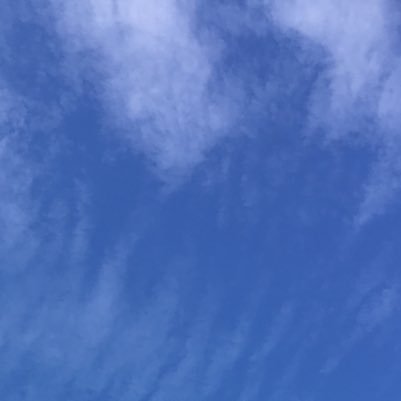 Exl09_46's profile picture. アフターのフェスティバル