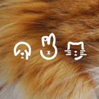 Tierheim Mannheim (@thmannheim) 's Twitter Profile