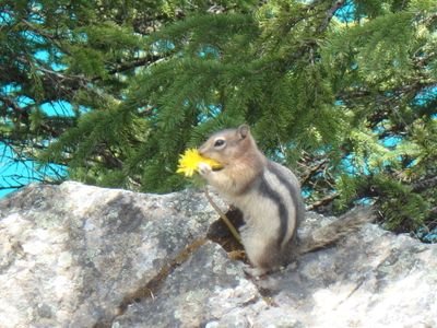 chiviry1's profile picture. 趣味の懸賞応募が多めです✨
国内外問わず旅行大好き/美容(deep Autumn・
wave)💄,映画🎥,現代ｱｰﾄ🎨,
読書(月3冊ペース)📚好き/ｺｽﾒﾓﾆﾀｰにも参加中。
カフェ経営が夢です☕🥪