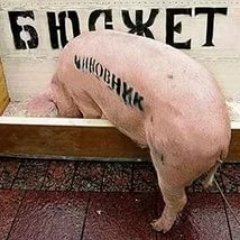 Все материалы взяты из открытых источников! Каждый день новый пиздец #Политика #Законы #Юмор #Общество #Мнение #Коррупция #Россия.#Налоги.🔗