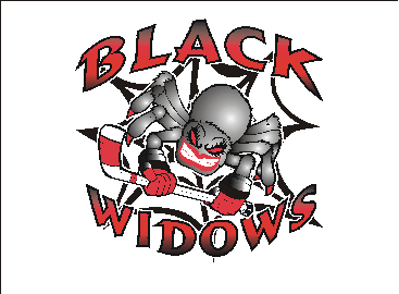 THysjulien's profile picture. The queen of the Black Widows women's hockey dynasty, bike lover, mother, wife, dentist, coach, special projects maven