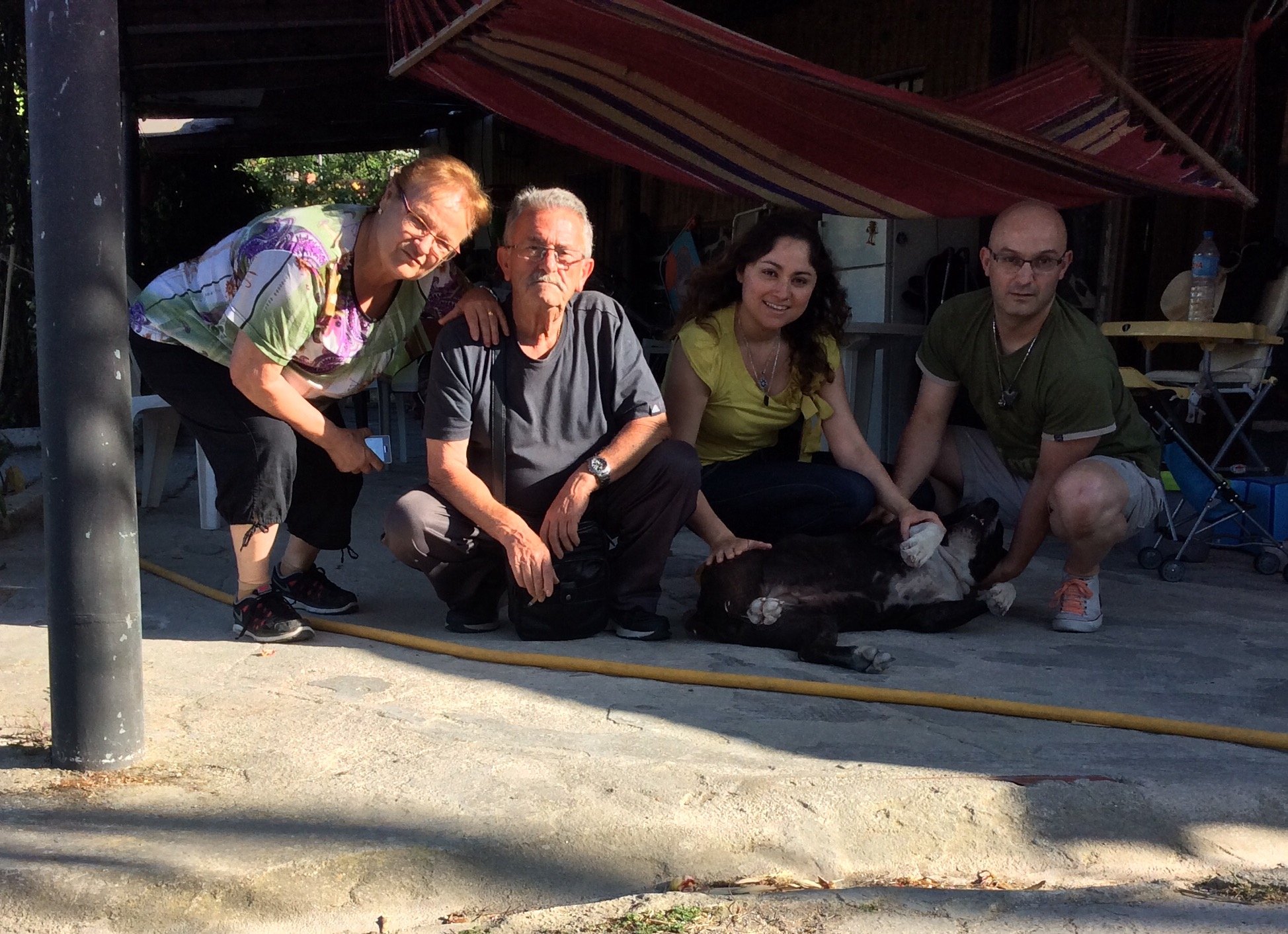 ToniToroFu's profile picture. 