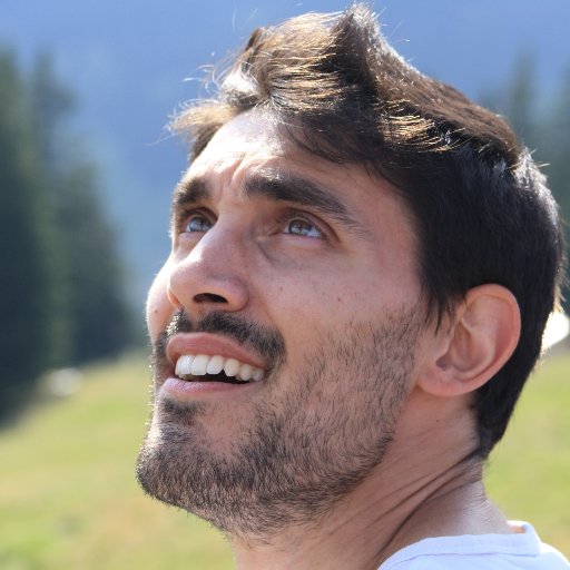 Nicolas Nalpas Profile