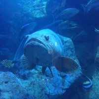 うどんこ (@udonnko413) 's Twitter Profile Photo