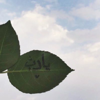 ان رحلت، هُنا صدقتـي، لعلها تكون شفيعه لي ولك يوم القيامة.