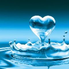 KoonsNetwork's profile picture. 