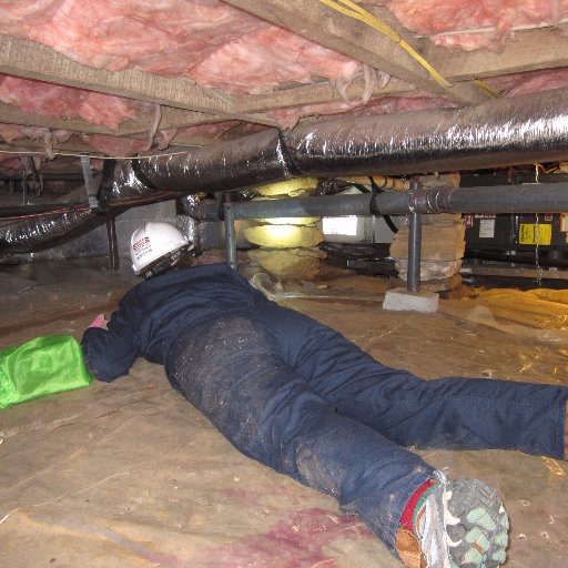 LinneaLinton's profile picture. 