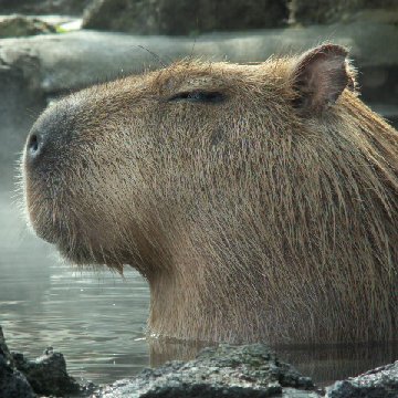 モバマスやってました勢です
今はグラブルとFGOとかやってます
飯画像とパチ、スロ画像が多いかもしれませんがご了承ください