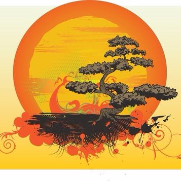 bonsaje1960's profile picture. 