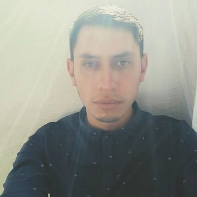 nematodo1's profile picture. 